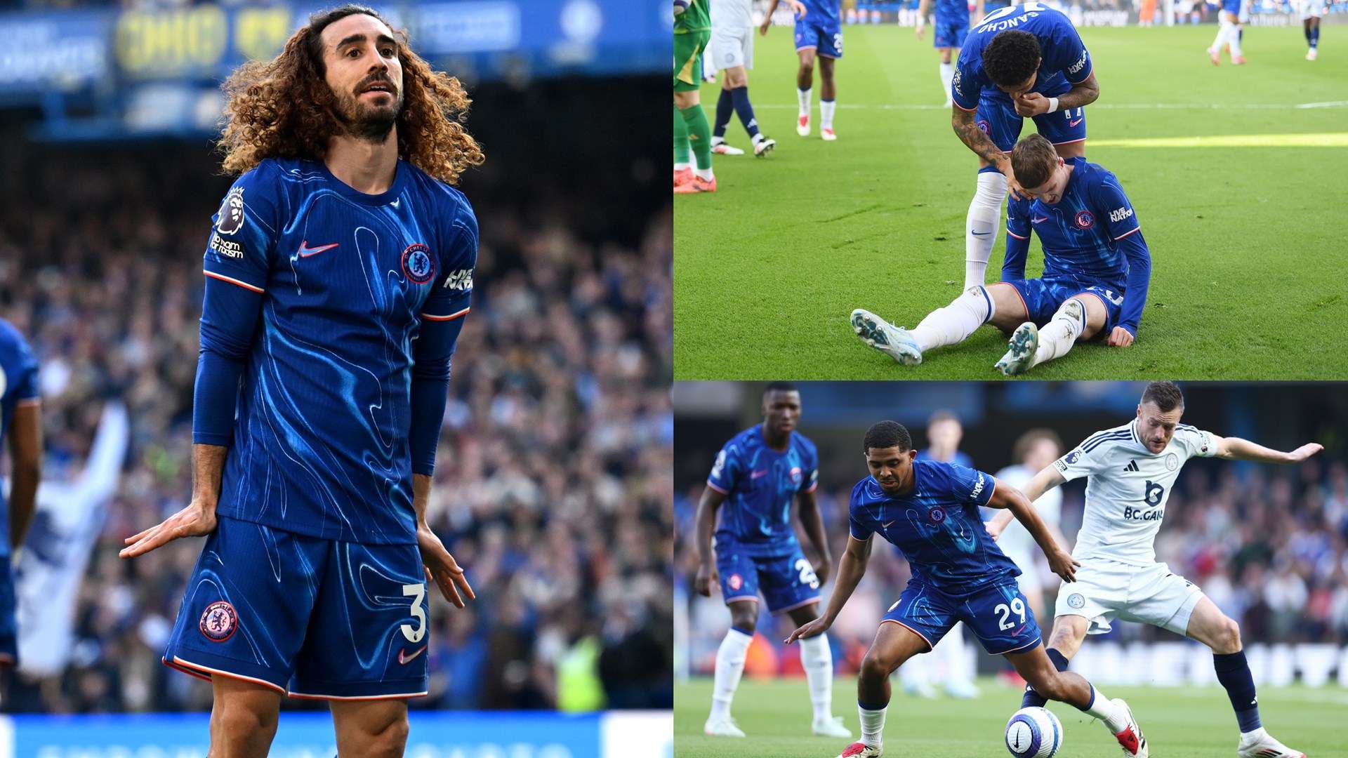 进行适度的 进行适度的