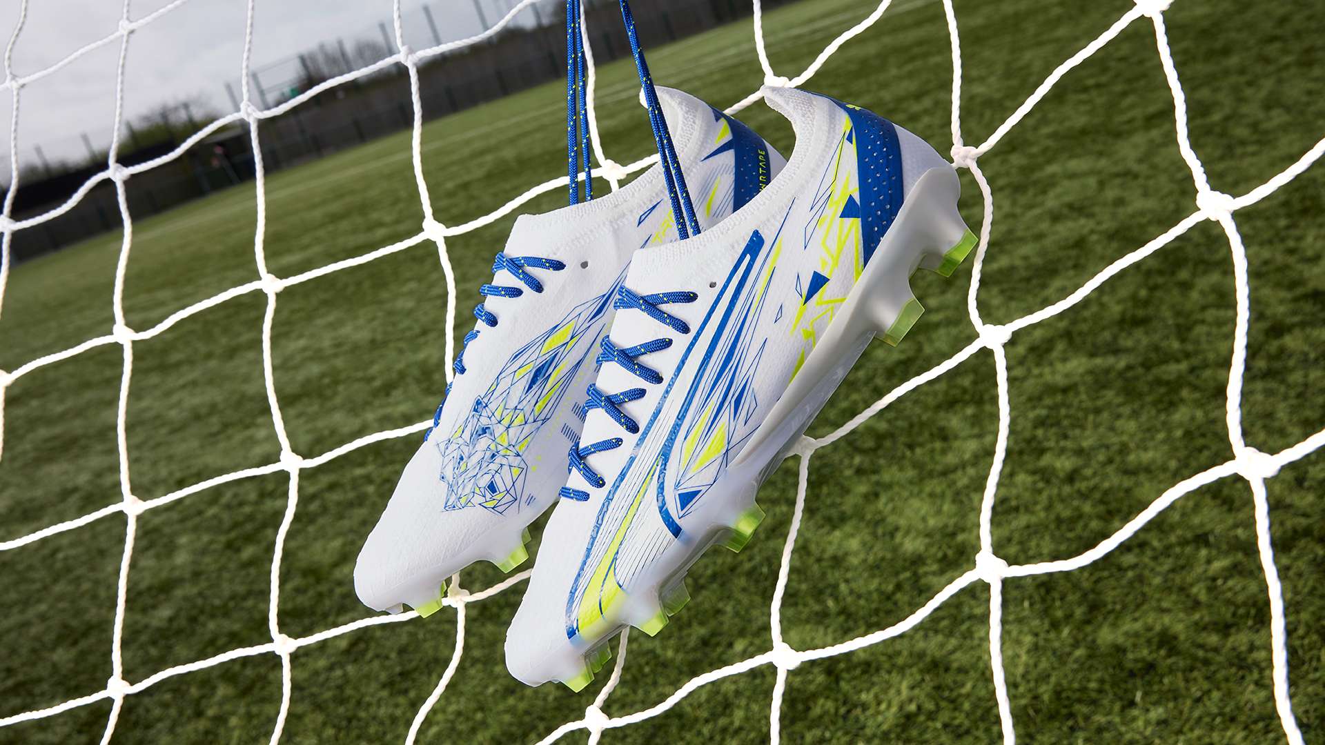 导者的角色 导者的角色